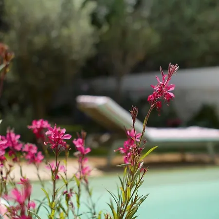 Saint Genes - Chambres Et Table D'hotes Bed & Breakfast