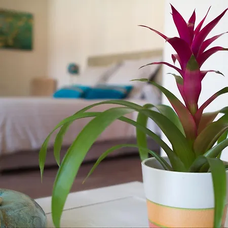 Bed & Breakfast Saint Genes - Chambres Et Table D'hotes Bordeaux
